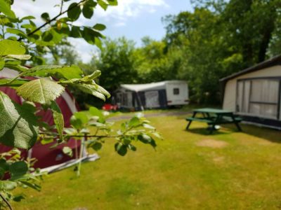Senlac Wood Campsite