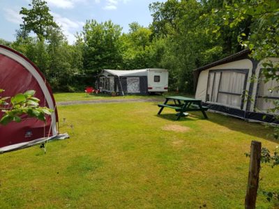 Senlac Wood Camping